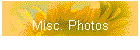 Misc. Photos
