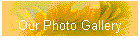 Our Photo Gallery